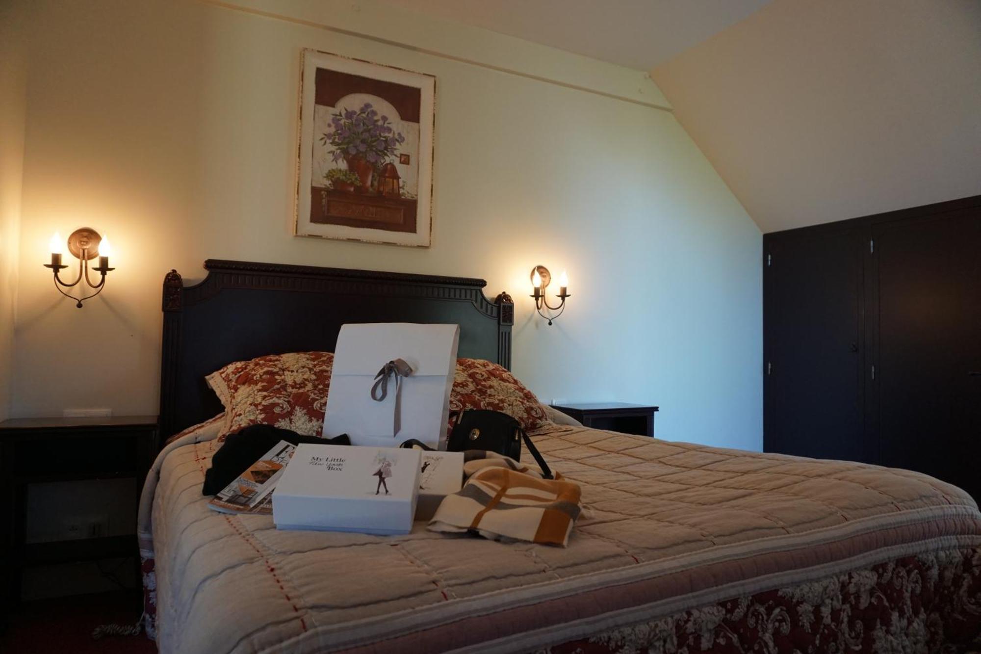 Hotel Domaine De L'Arbrelle Amboise Pokój zdjęcie