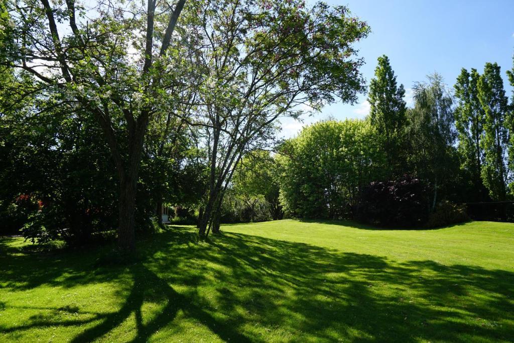 Hotel Domaine De L'Arbrelle Amboise Zewnętrze zdjęcie