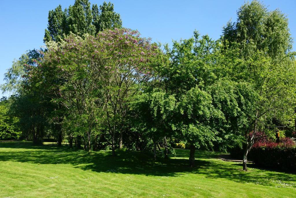 Hotel Domaine De L'Arbrelle Amboise Zewnętrze zdjęcie