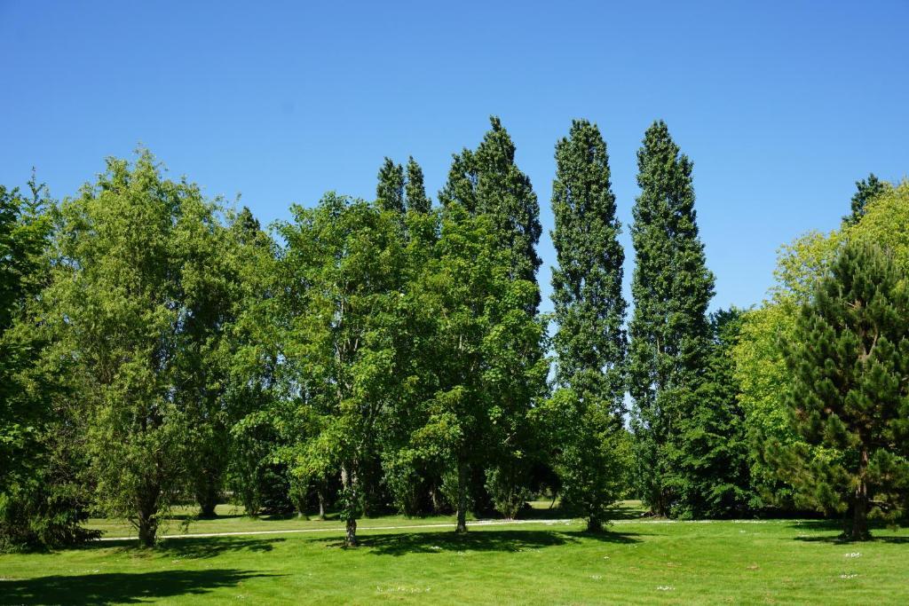 Hotel Domaine De L'Arbrelle Amboise Zewnętrze zdjęcie